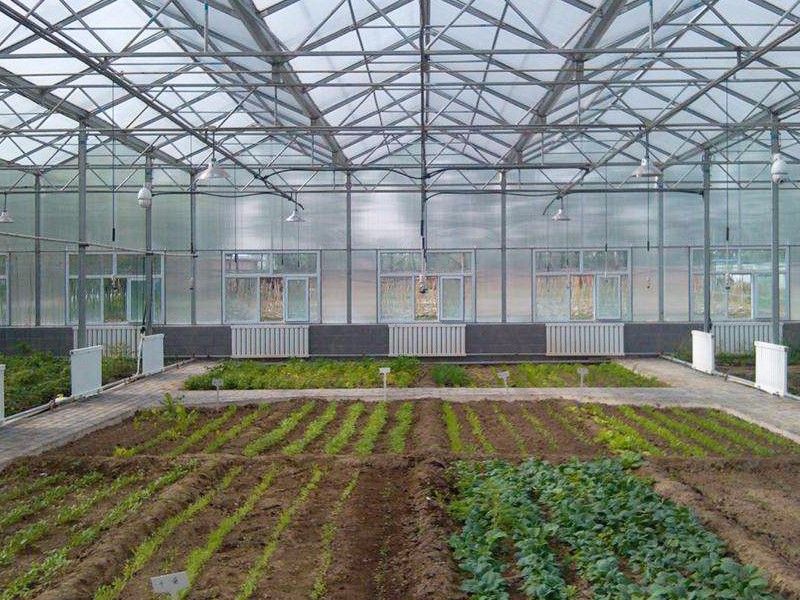 智能農(nóng)業(yè)大棚