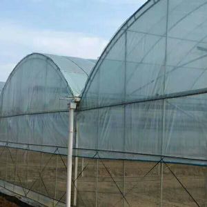 連棟大棚,用科技不斷升級(jí)