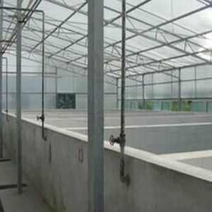 溫室養(yǎng)殖大棚