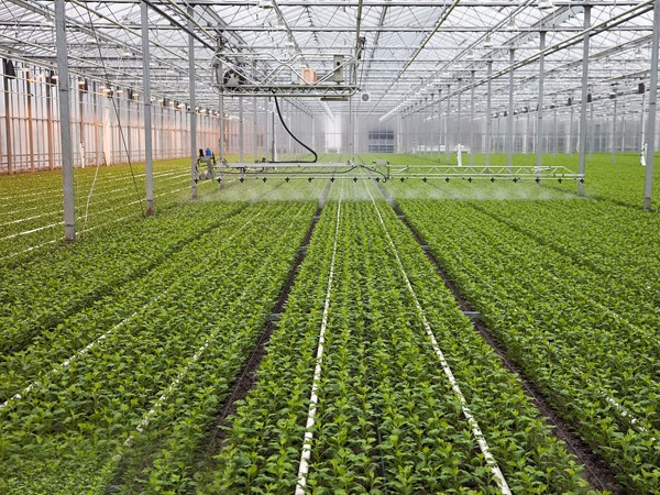 自動(dòng)噴淋系統(tǒng)