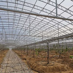 工程案例—青島田園綜合體施工