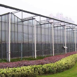 玻璃溫室