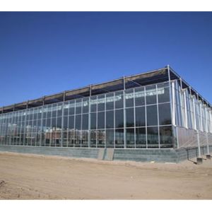玻璃溫室